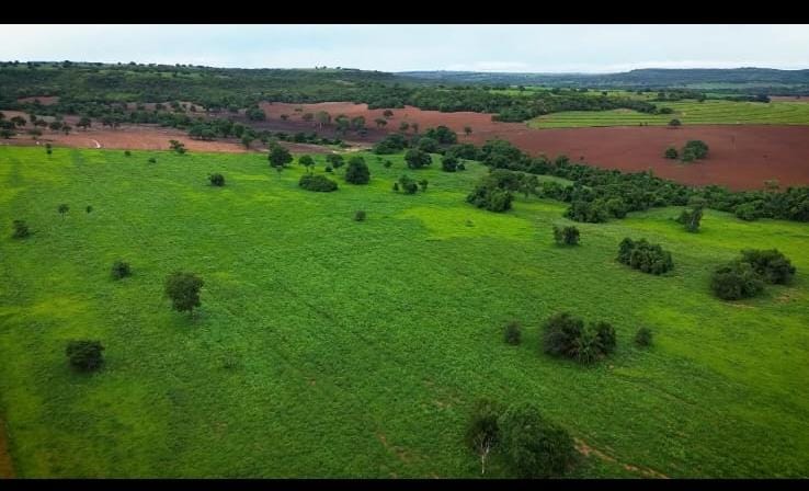 Área rural com pastagem e vegetação dispersa