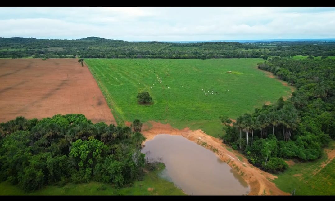 Área rural com pastagem, mata e açude