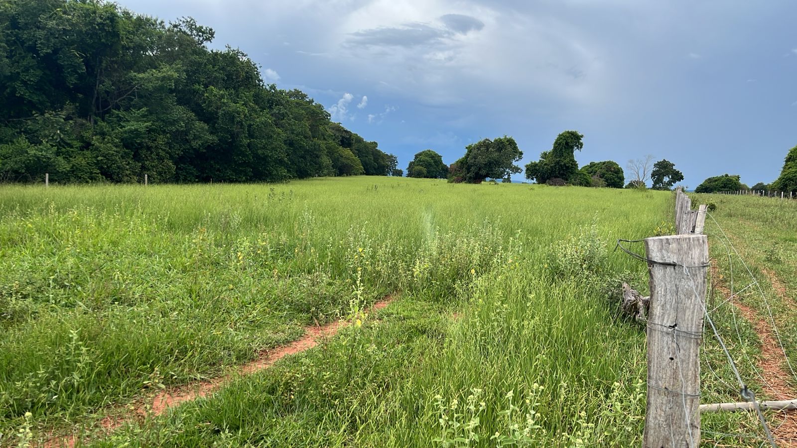 Terreno rural com cerca e vegetação verde