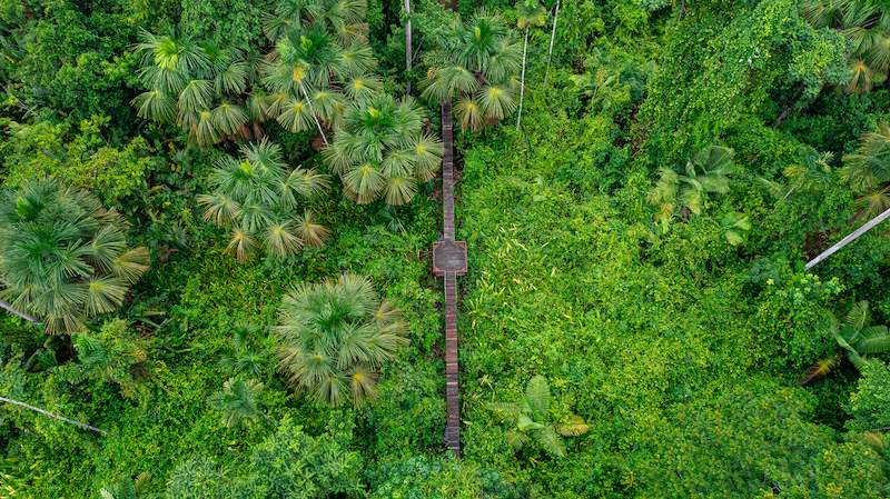 Fazenda em Patos de Minas - MG